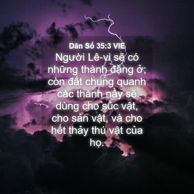 Picture 04 - Dân Số 35:3 VIE - Người Lê-vi sẽ có những thành đặng - Bible Verse Picture