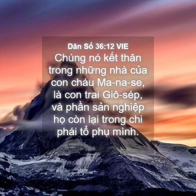 Picture 04 - Dân Số 36:12 VIE - Chúng nó kết thân trong những nhà của - Bible Verse Picture
