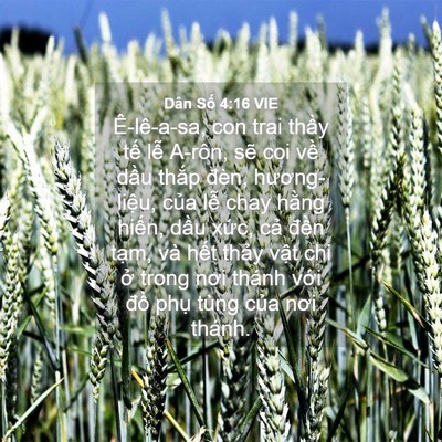 Picture 04 - Dân Số 4:16 VIE - Ê-lê-a-sa, con trai thầy tế lễ A-rôn, - Bible Verse Picture