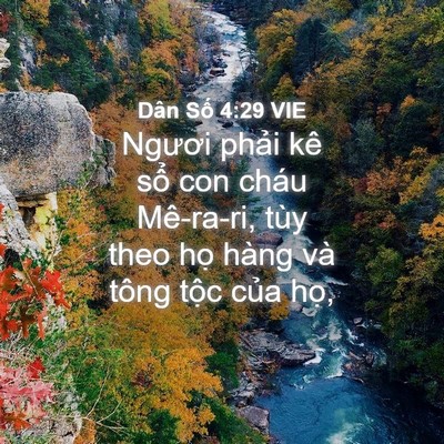 Picture 04 - Dân Số 4:29 VIE - Ngươi phải kê sổ con cháu Mê-ra-ri, tùy - Bible Verse Picture