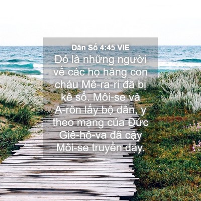 Picture 04 - Dân Số 4:45 VIE - Đó là những người về các họ hàng - Bible Verse Picture