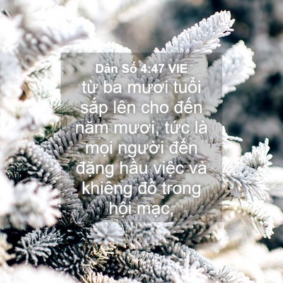 Picture 04 - Dân Số 4:47 VIE - từ ba mươi tuổi sắp lên cho đến năm - Bible Verse Picture