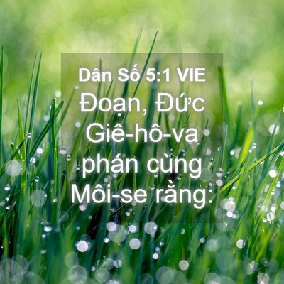 Picture 04 - Dân Số 5:1 VIE - Đoạn, Đức Giê-hô-va phán cùng Môi-se - Bible Verse Picture