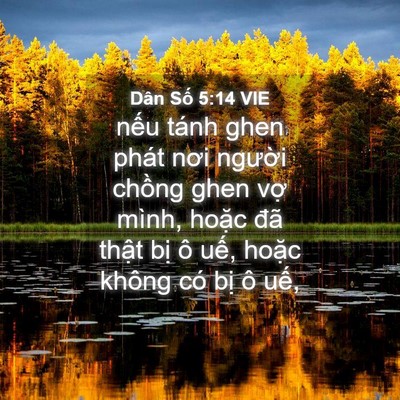 Picture 04 - Dân Số 5:14 VIE - nếu tánh ghen phát nơi người chồng ghen - Bible Verse Picture