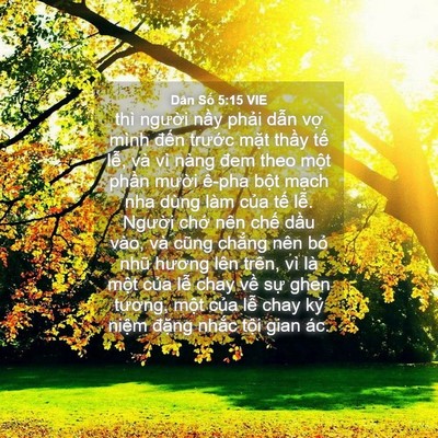 Picture 04 - Dân Số 5:15 VIE - thì người nầy phải dẫn vợ mình - Bible Verse Picture