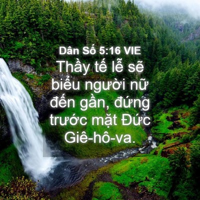 Picture 04 - Dân Số 5:16 VIE - Thầy tế lễ sẽ biểu người nữ đến - Bible Verse Picture