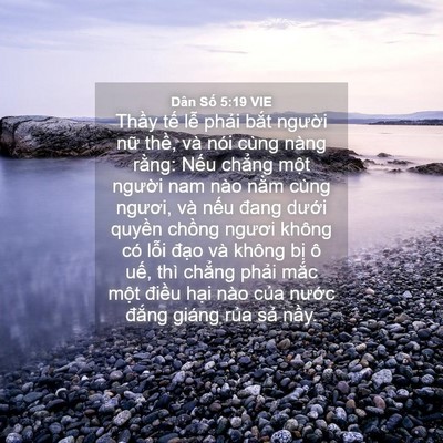 Picture 04 - Dân Số 5:19 VIE - Thầy tế lễ phải bắt người nữ - Bible Verse Picture