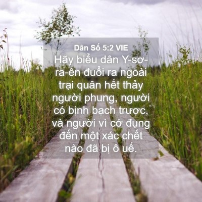 Picture 04 - Dân Số 5:2 VIE - Hãy biểu dân Y-sơ-ra-ên đuổi ra ngoài - Bible Verse Picture