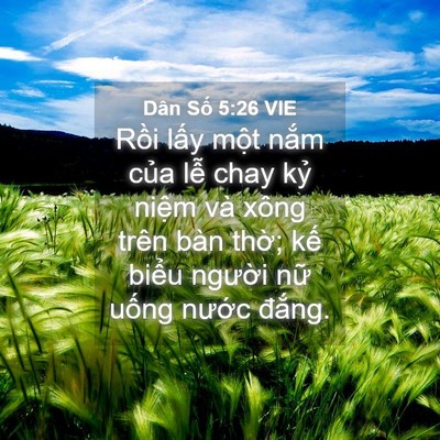 Picture 04 - Dân Số 5:26 VIE - Rồi lấy một nắm của lễ chay kỷ - Bible Verse Picture
