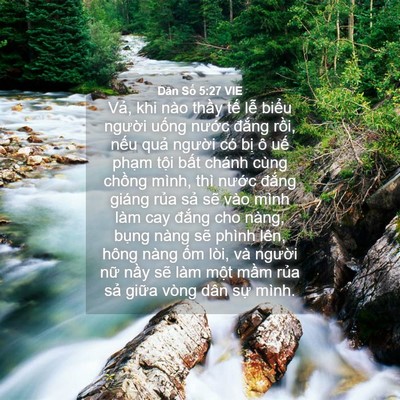 Picture 04 - Dân Số 5:27 VIE - Vả, khi nào thầy tế lễ biểu người - Bible Verse Picture
