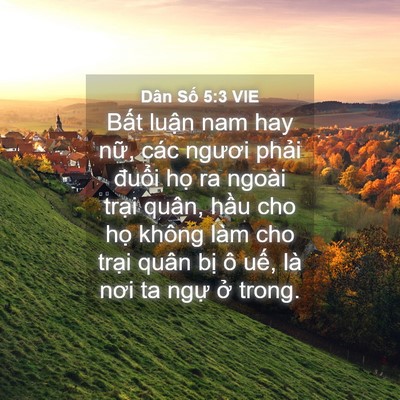 Picture 04 - Dân Số 5:3 VIE - Bất luận nam hay nữ, các ngươi phải - Bible Verse Picture