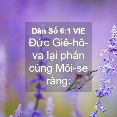 Picture 04 - Dân Số 6:1 VIE - Đức Giê-hô-va lại phán cùng Môi-se - Bible Verse Picture