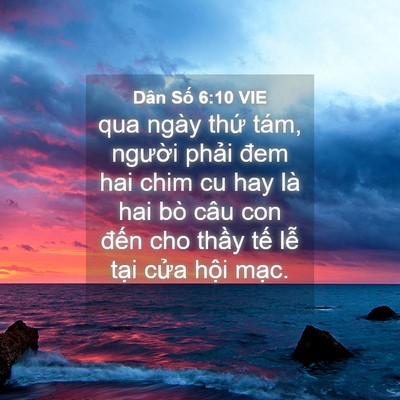 Picture 04 - Dân Số 6:10 VIE - qua ngày thứ tám, người phải đem hai - Bible Verse Picture