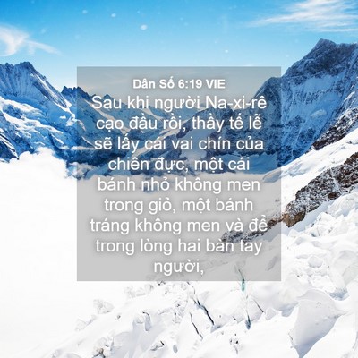 Picture 04 - Dân Số 6:19 VIE - Sau khi người Na-xi-rê cạo đầu rồi, - Bible Verse Picture