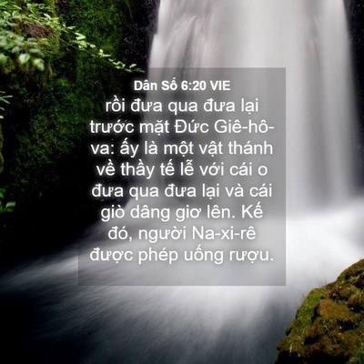 Picture 04 - Dân Số 6:20 VIE - rồi đưa qua đưa lại trước mặt Đức - Bible Verse Picture