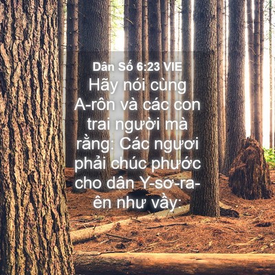 Picture 04 - Dân Số 6:23 VIE - Hãy nói cùng A-rôn và các con trai người - Bible Verse Picture