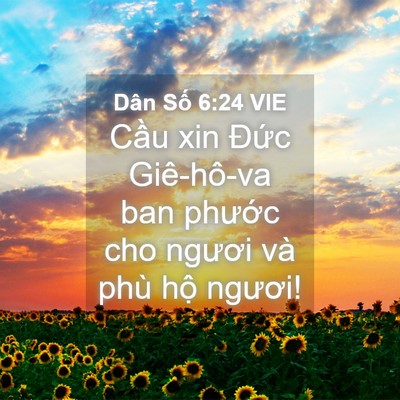 Picture 04 - Dân Số 6:24 VIE - Cầu xin Đức Giê-hô-va ban phước cho - Bible Verse Picture