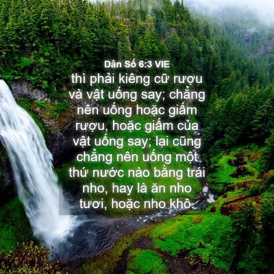 Picture 04 - Dân Số 6:3 VIE - thì phải kiêng cữ rượu và vật uống - Bible Verse Picture