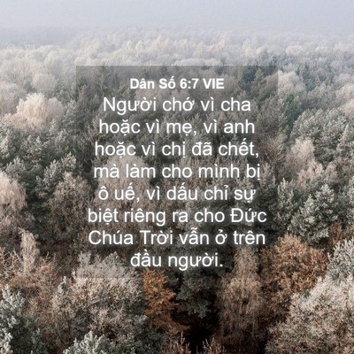 Picture 04 - Dân Số 6:7 VIE - Người chớ vì cha hoặc vì mẹ, vì anh - Bible Verse Picture