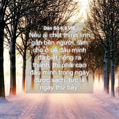 Picture 04 - Dân Số 6:9 VIE - Nếu ai chết thình lình gần bên người, - Bible Verse Picture