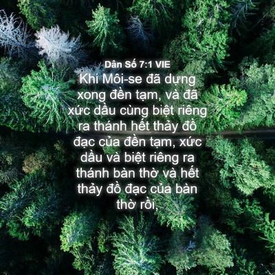Picture 04 - Dân Số 7:1 VIE - Khi Môi-se đã dựng xong đền tạm, và - Bible Verse Picture
