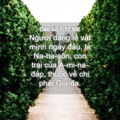 Picture 04 - Dân Số 7:12 VIE - Người dâng lễ vật mình ngày đầu, là - Bible Verse Picture