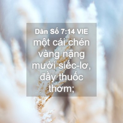 Picture 04 - Dân Số 7:14 VIE - một cái chén vàng nặng mười siếc-lơ, - Bible Verse Picture