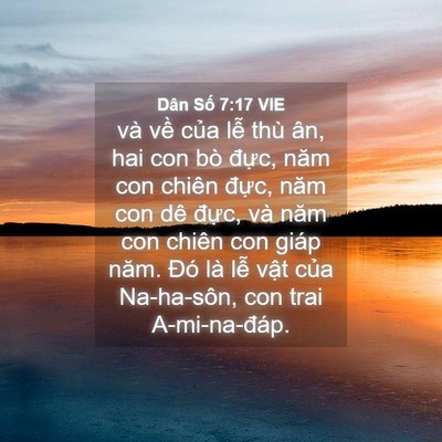 Picture 04 - Dân Số 7:17 VIE - và về của lễ thù ân, hai con bò đực, - Bible Verse Picture