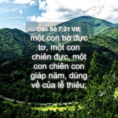 Picture 04 - Dân Số 7:21 VIE - một con bò đực tơ, một con chiên - Bible Verse Picture
