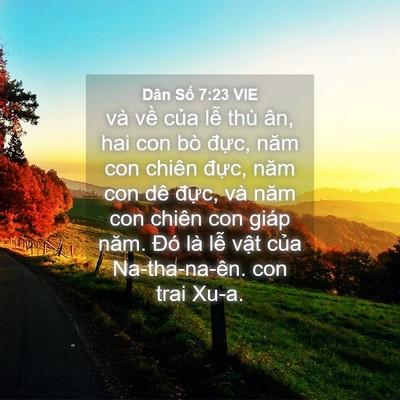 Picture 04 - Dân Số 7:23 VIE - và về của lễ thù ân, hai con bò đực, - Bible Verse Picture