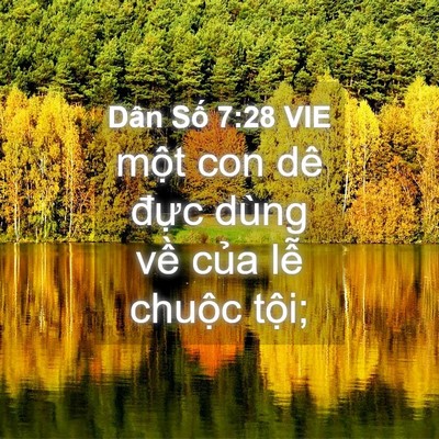 Picture 04 - Dân Số 7:28 VIE - một con dê đực dùng về của lễ - Bible Verse Picture