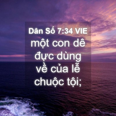 Picture 04 - Dân Số 7:34 VIE - một con dê đực dùng về của lễ - Bible Verse Picture