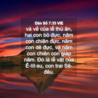 Picture 04 - Dân Số 7:35 VIE - và về của lễ thù ân, hai con bò đực, - Bible Verse Picture