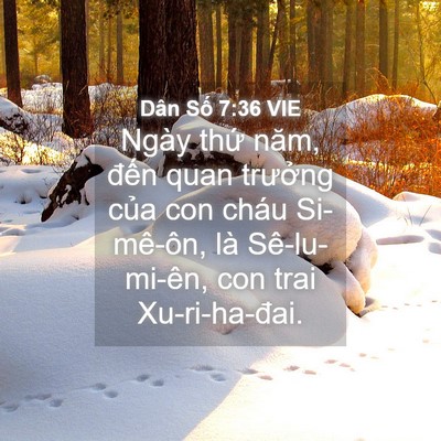 Picture 04 - Dân Số 7:36 VIE - Ngày thứ năm, đến quan trưởng của con - Bible Verse Picture