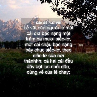 Picture 04 - Dân Số 7:37 VIE - Lễ vật của người là một cái đĩa - Bible Verse Picture