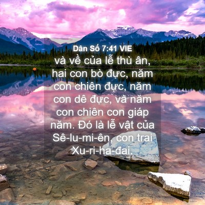 Picture 04 - Dân Số 7:41 VIE - và về của lễ thù ân, hai con bò đực, - Bible Verse Picture