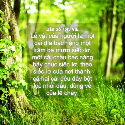 Picture 04 - Dân Số 7:43 VIE - Lễ vật của người là một cái đĩa - Bible Verse Picture