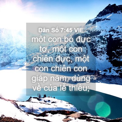 Picture 04 - Dân Số 7:45 VIE - một con bò đực tơ, một con chiên - Bible Verse Picture