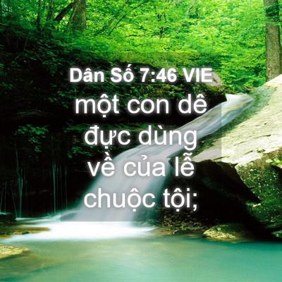 Picture 04 - Dân Số 7:46 VIE - một con dê đực dùng về của lễ - Bible Verse Picture