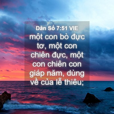 Picture 04 - Dân Số 7:51 VIE - một con bò đực tơ, một con chiên - Bible Verse Picture