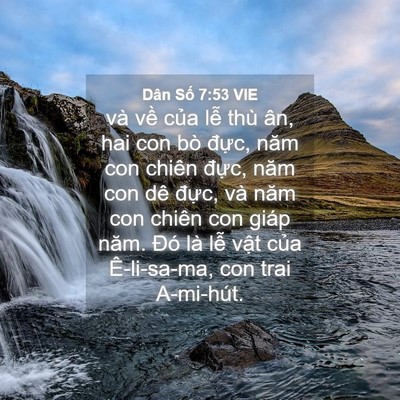 Picture 04 - Dân Số 7:53 VIE - và về của lễ thù ân, hai con bò đực, - Bible Verse Picture