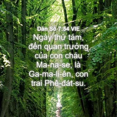 Picture 04 - Dân Số 7:54 VIE - Ngày thứ tám, đến quan trưởng của con - Bible Verse Picture