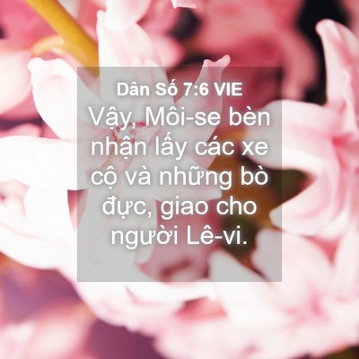 Picture 04 - Dân Số 7:6 VIE - Vậy, Môi-se bèn nhận lấy các xe cộ và - Bible Verse Picture
