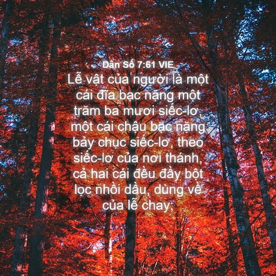 Picture 04 - Dân Số 7:61 VIE - Lễ vật của người là một cái đĩa - Bible Verse Picture