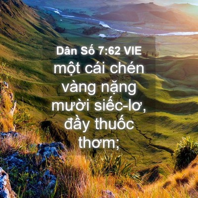 Picture 04 - Dân Số 7:62 VIE - một cái chén vàng nặng mười siếc-lơ, - Bible Verse Picture