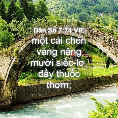 Picture 04 - Dân Số 7:74 VIE - một cái chén vàng nặng mười siếc-lơ, - Bible Verse Picture