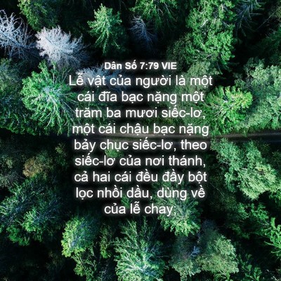 Picture 04 - Dân Số 7:79 VIE - Lễ vật của người là một cái đĩa - Bible Verse Picture