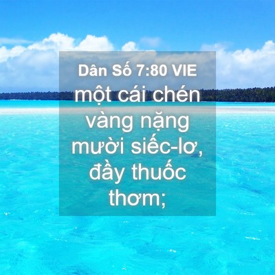 Picture 04 - Dân Số 7:80 VIE - một cái chén vàng nặng mười siếc-lơ, - Bible Verse Picture