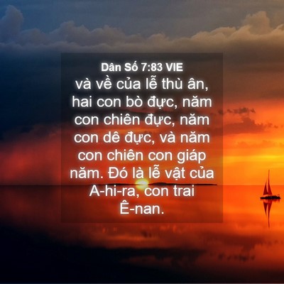 Picture 04 - Dân Số 7:83 VIE - và về của lễ thù ân, hai con bò đực, - Bible Verse Picture