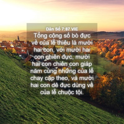 Picture 04 - Dân Số 7:87 VIE - Tổng cộng số bò đực về của lễ - Bible Verse Picture